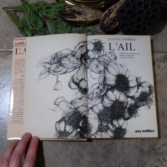 Vintage Book, L'Incroyable Histoire de L'Ail, Recipes Book - Picture 8 of 8